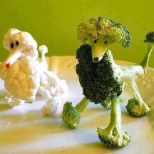 los-veggie-poodles